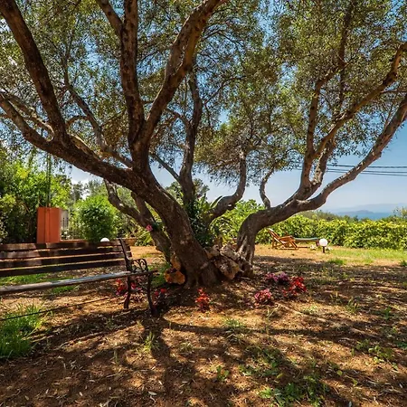 Silva, Garden & Sea View, 3 Bedroom -10 Min Drive From Center