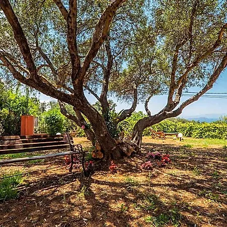Silva, Garden & Sea View, 3 Bedroom -10 Min Drive From Center Vila Chania (Crete)